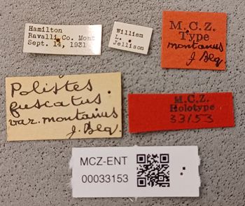 Media type: image;   Entomology 33153 Aspect: labels